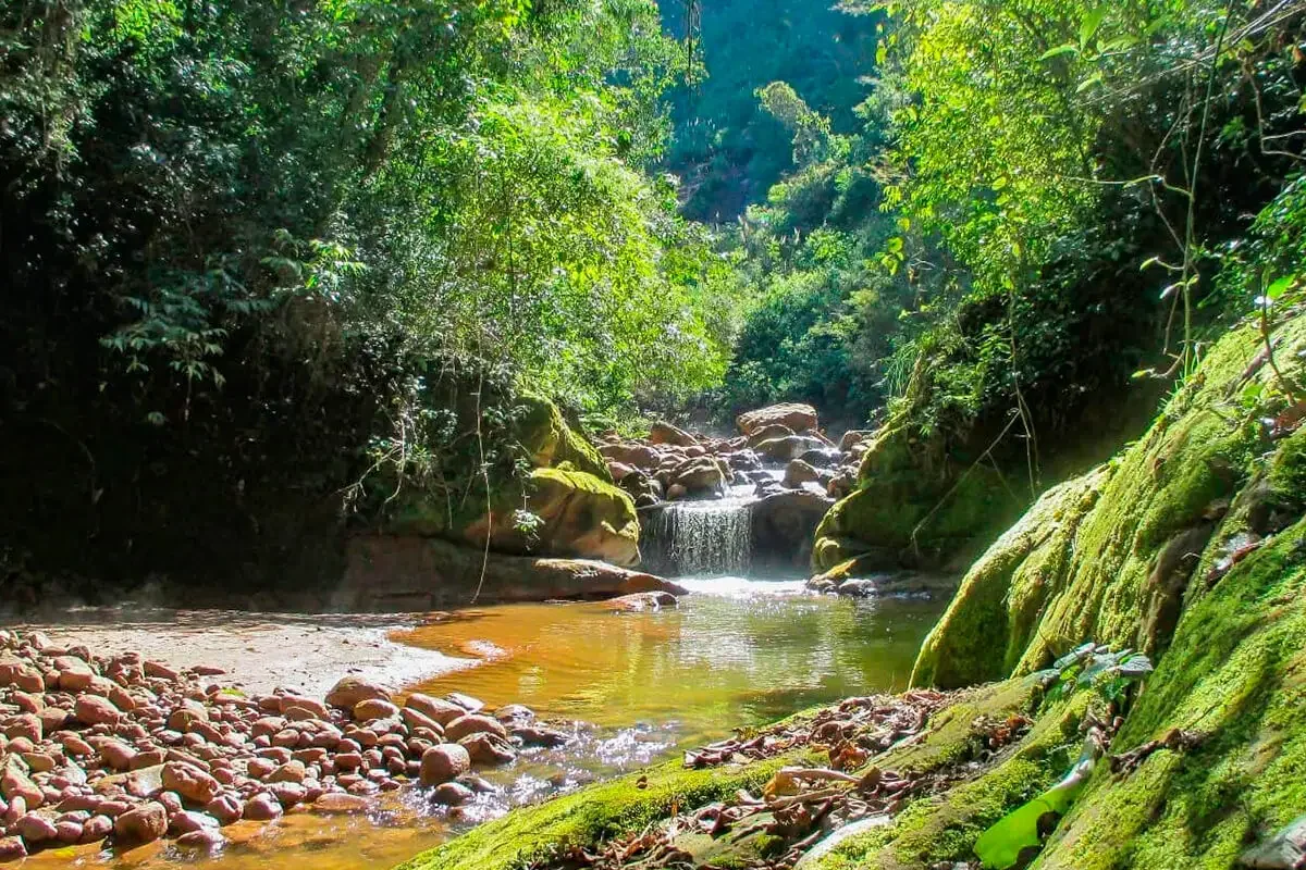 Parque Calilegua